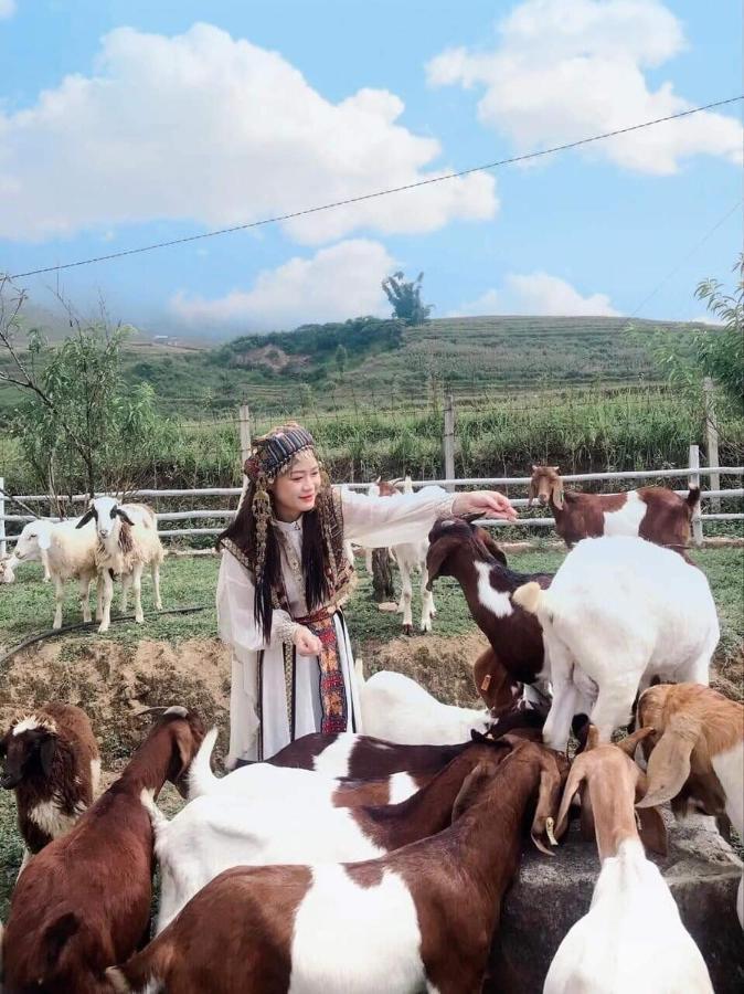 O Chau Homestay Lào Cai Buitenkant foto