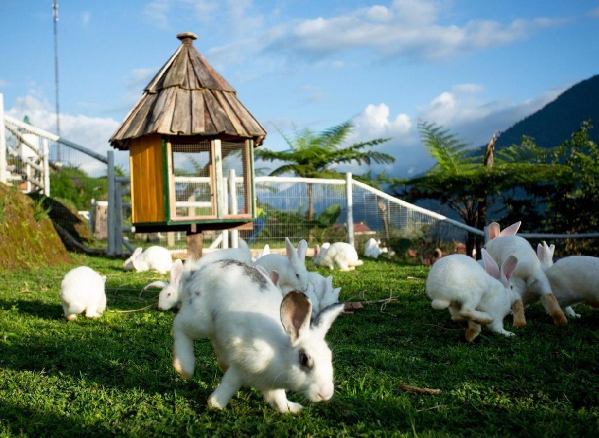 O Chau Homestay Lào Cai Buitenkant foto