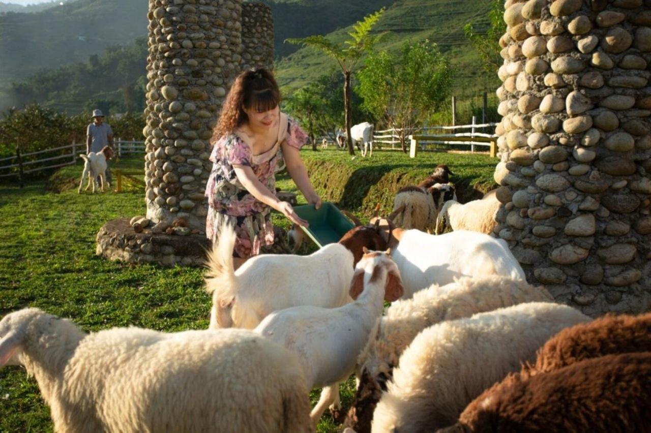 O Chau Homestay Lào Cai Buitenkant foto