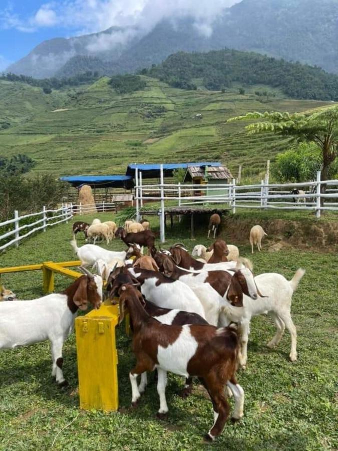 O Chau Homestay Lào Cai Buitenkant foto